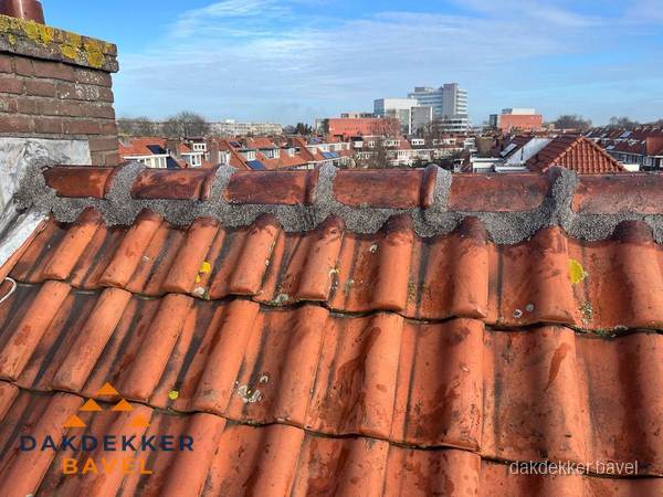 Pannendak met nokvorst en schoorsteen, dakrenovatie in Bavel Pannendak met nokvorst en schoorsteen, dakrenovatie in Bavel