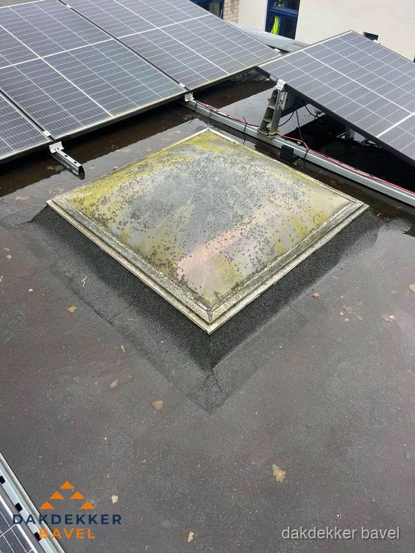 Vervuilde lichtkoepel op plat dak met zonnepanelen in Bavel Vervuilde lichtkoepel op plat dak met zonnepanelen in Bavel