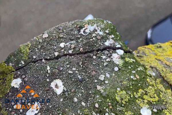 Beschadigde en verweerde nokvorst met scheuren en mos in Bavel Beschadigde en verweerde nokvorst met scheuren en mos in Bavel