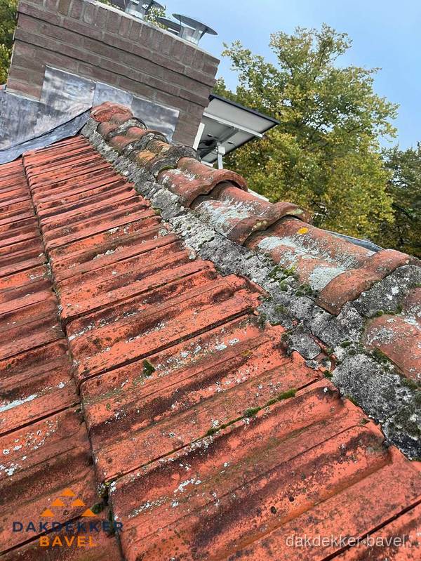 Verweerd hellend dak met mosgroei op nokvorst in Bavel Verweerd hellend dak met mosgroei op nokvorst in Bavel