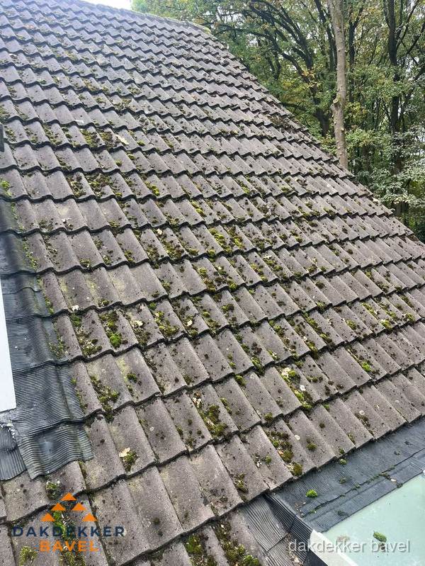Verweerd pannendak met mosgroei dat renovatie nodig heeft in Bavel Verweerd pannendak met mosgroei dat renovatie nodig heeft in Bavel