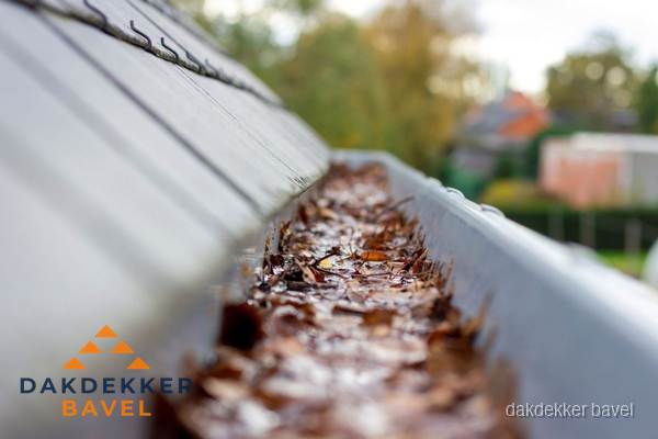 Verstopte dakgoot met bladeren schoonmaken in Bavel Verstopte dakgoot met bladeren schoonmaken in Bavel