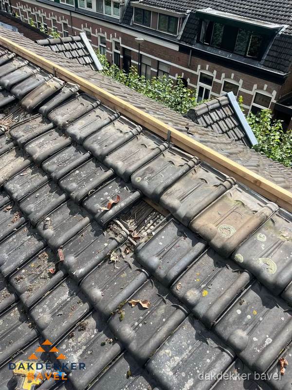 Dakonderhoud aan schuin pannendak met nokvernieuwing in Bavel Dakonderhoud aan schuin pannendak met nokvernieuwing in Bavel